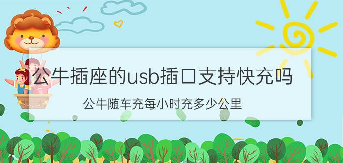 公牛插座的usb插口支持快充吗 公牛随车充每小时充多少公里？